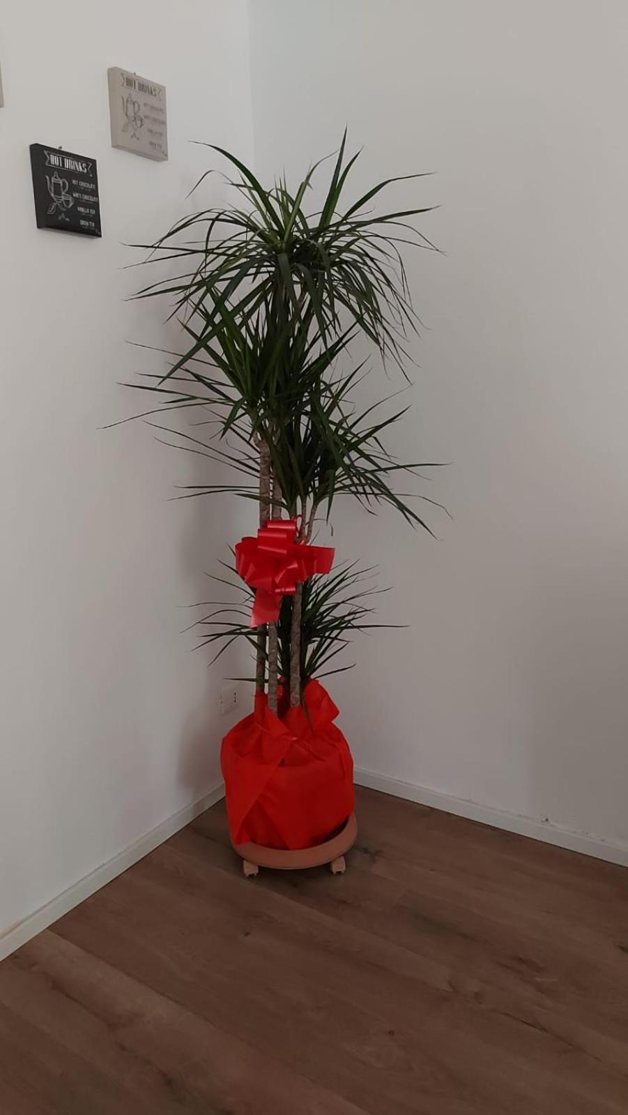 팔레르모 A Casa Di Elena 아파트 외부 사진
